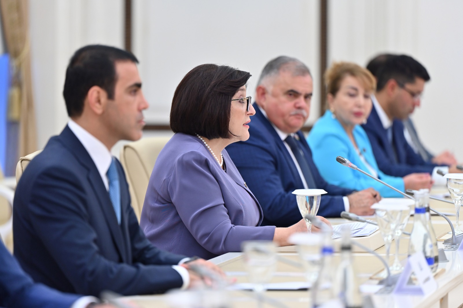 Milli Majlis Chair Sahiba Gafarova Meets Head of Slovak National Council